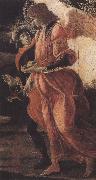 Sandro Botticelli Trinity with Mary Magdalene,St john the Baptist,Tobias  and the Angel (mk36) oil painting picture wholesale